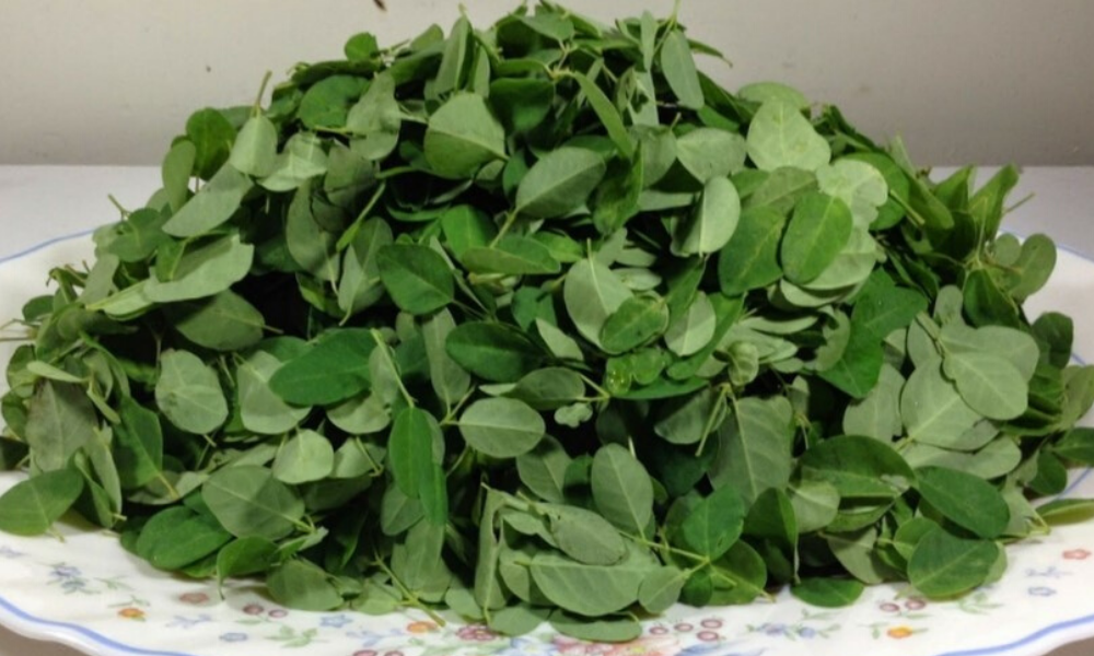 Bouillon of fish with Moringa Leaves - Bouyon Bred mouroum ek karang ...